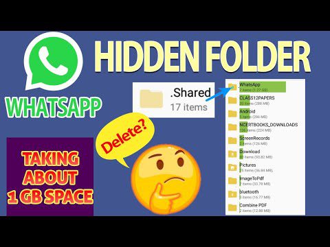 Qué son los archivos de la carpeta Shared en WhatsApp