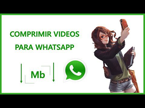 Cuál es el peso máximo de video para WhatsApp