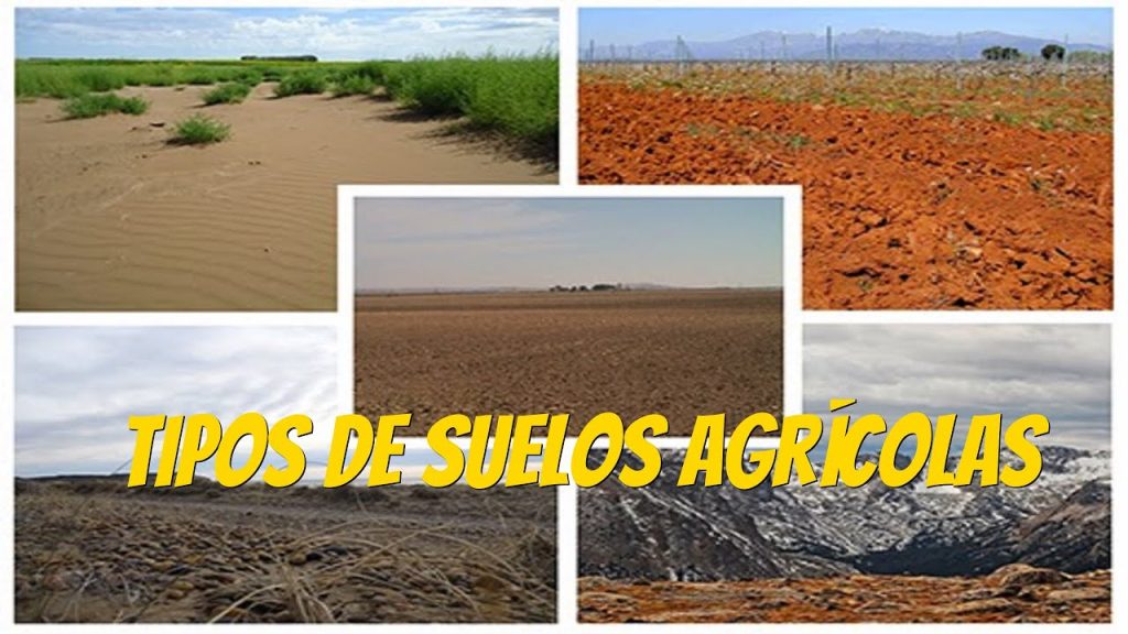 Cuáles son los tipos de suelos de Ecuador