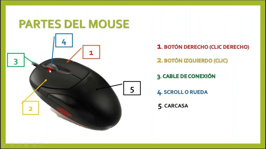 Cuales son las tres partes de un mouse Cuáles son las tres partes de un mouse