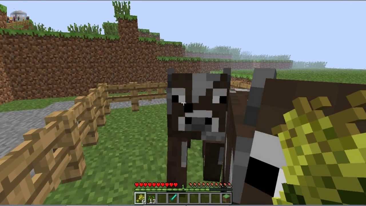 Cómo se atrae a las vacas en Minecraft