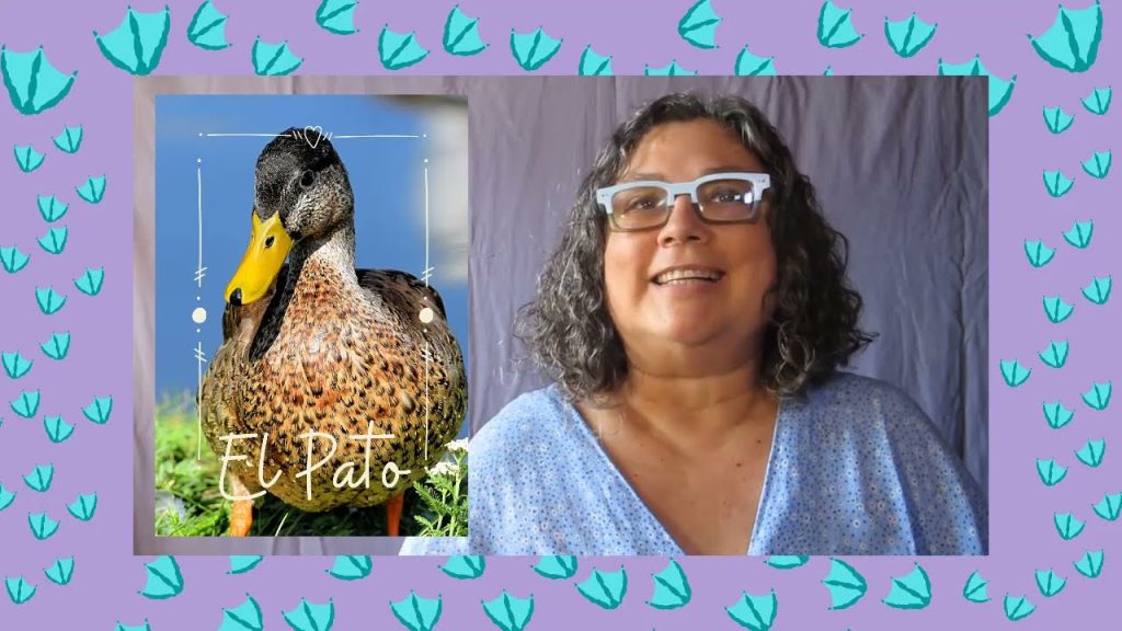 Qué significa ser pato en Perú