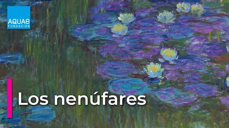 Descargar la película Los Nenufares De Monet en Mediafire