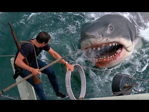 Descargar la película Películass Tiburones en Mediafire