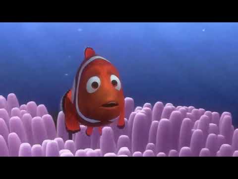 Descargar la película Ver Buscando A Nemo Online Castellano en Mediafire
