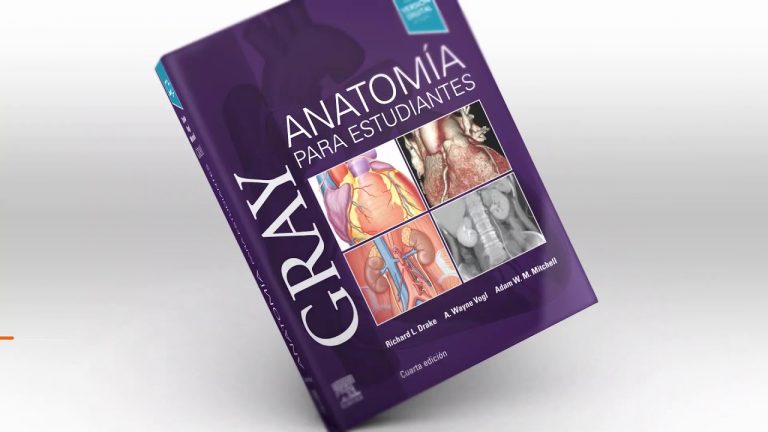 Descargar la serie Gray. Anatomía Para Estudiantes en Mediafire